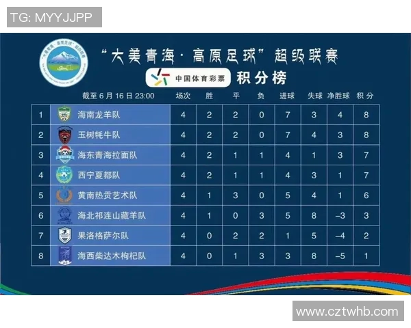 中国足球积分榜最新动态分析及各队表现评估